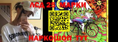 индика Моздок