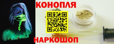 индика Моздок