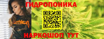 метадон Можга
