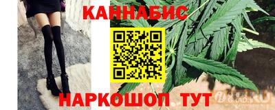индика Моздок