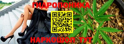 метадон Можга