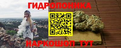 индика Моздок